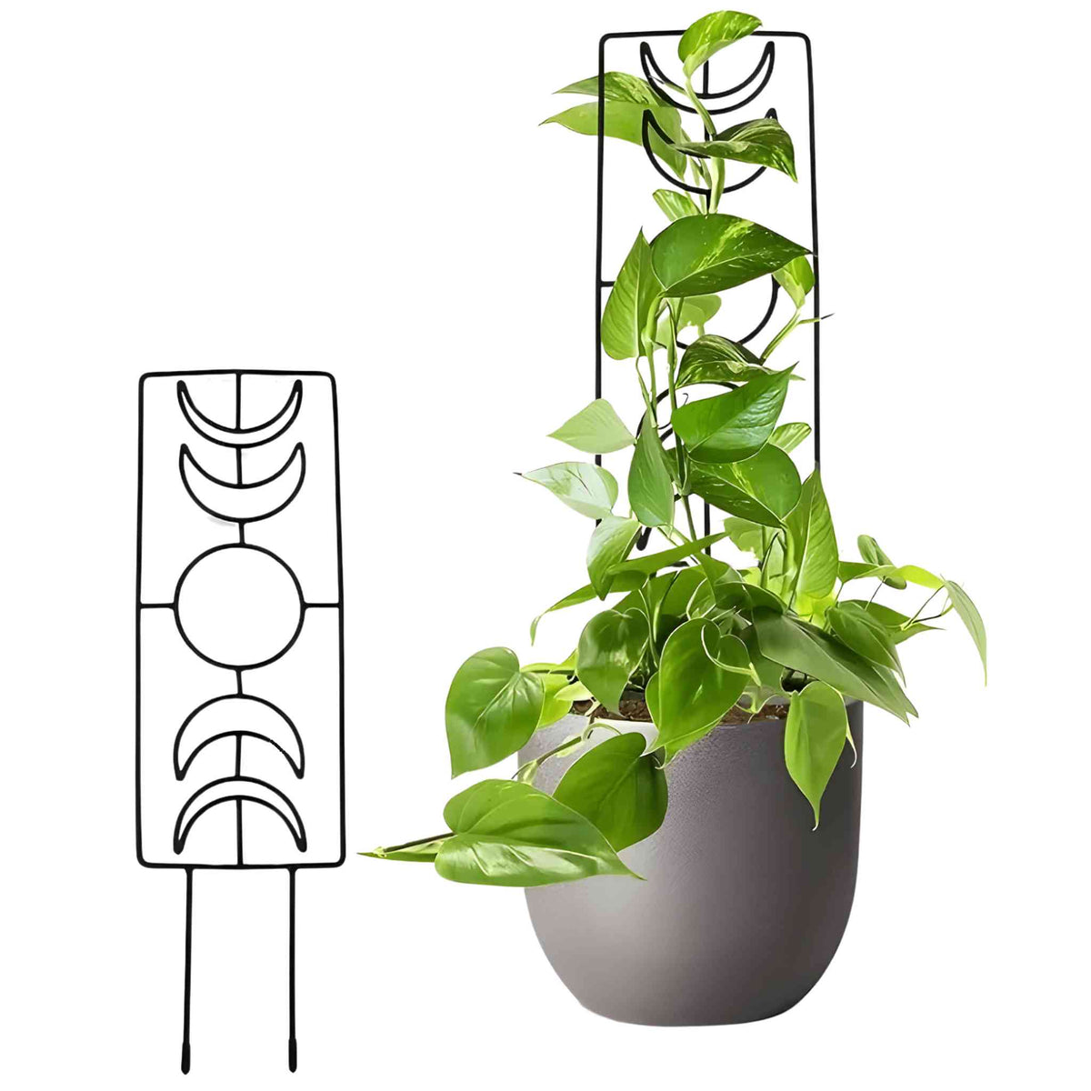 Metal Moon Phase Plant Trellis