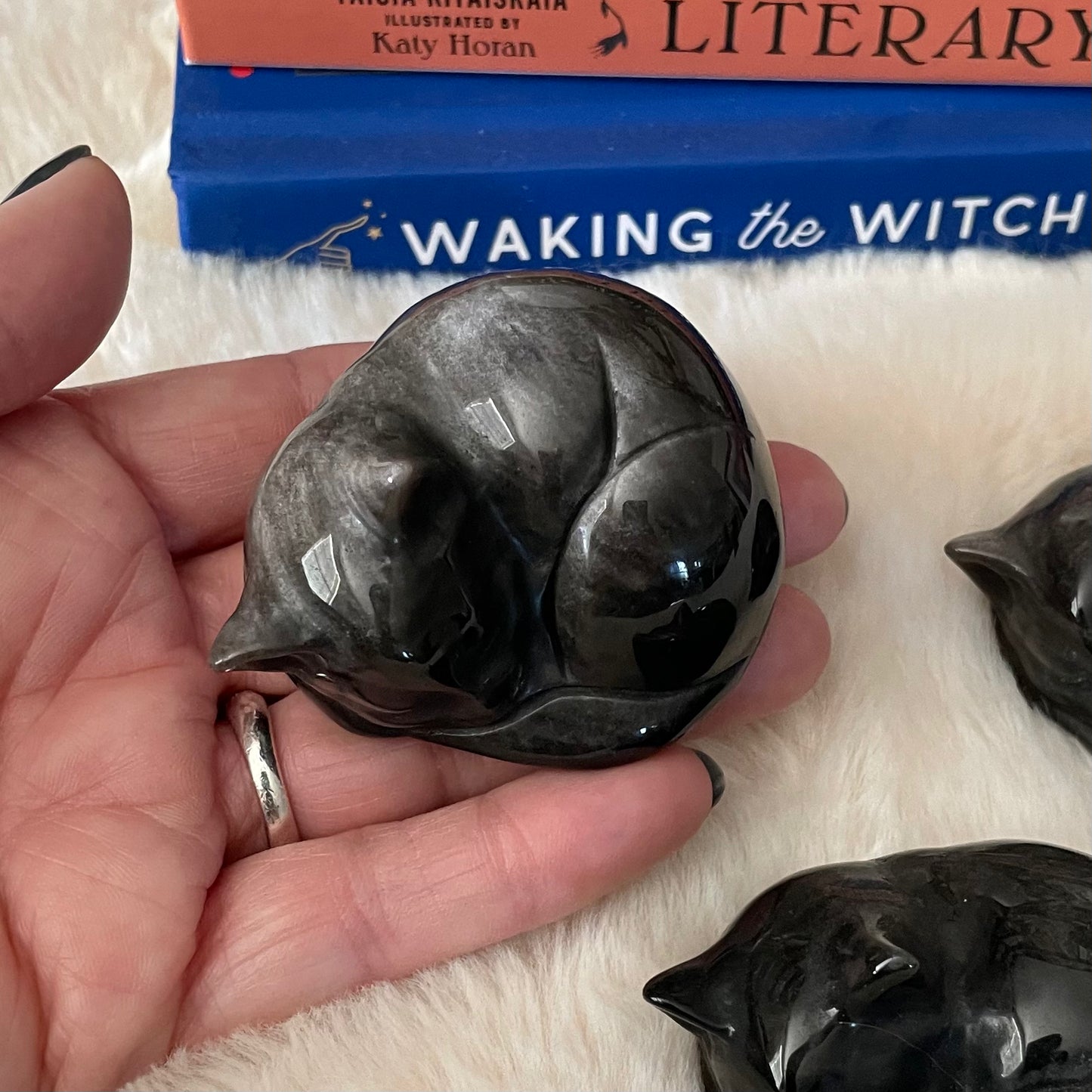 Silver Sheen Kitty - Executive Gypsy