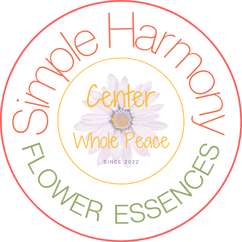 Witch Wound Flower Essence - Executive Gypsy