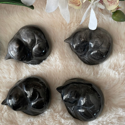 Silver Sheen Kitty - Executive Gypsy