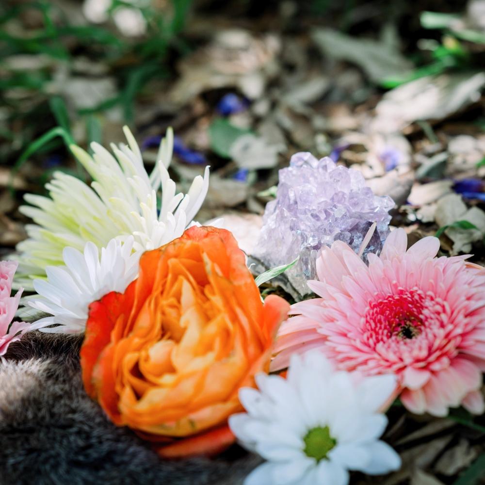 Ostara - Spring Equinox