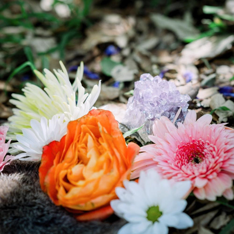 Ostara - Spring Equinox