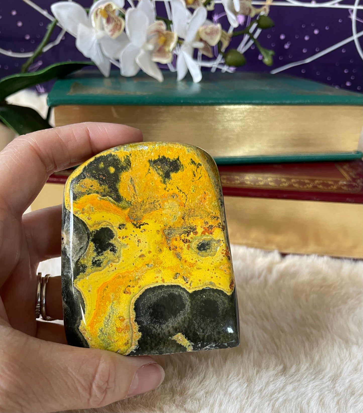 Bumblebee Jasper Freeform