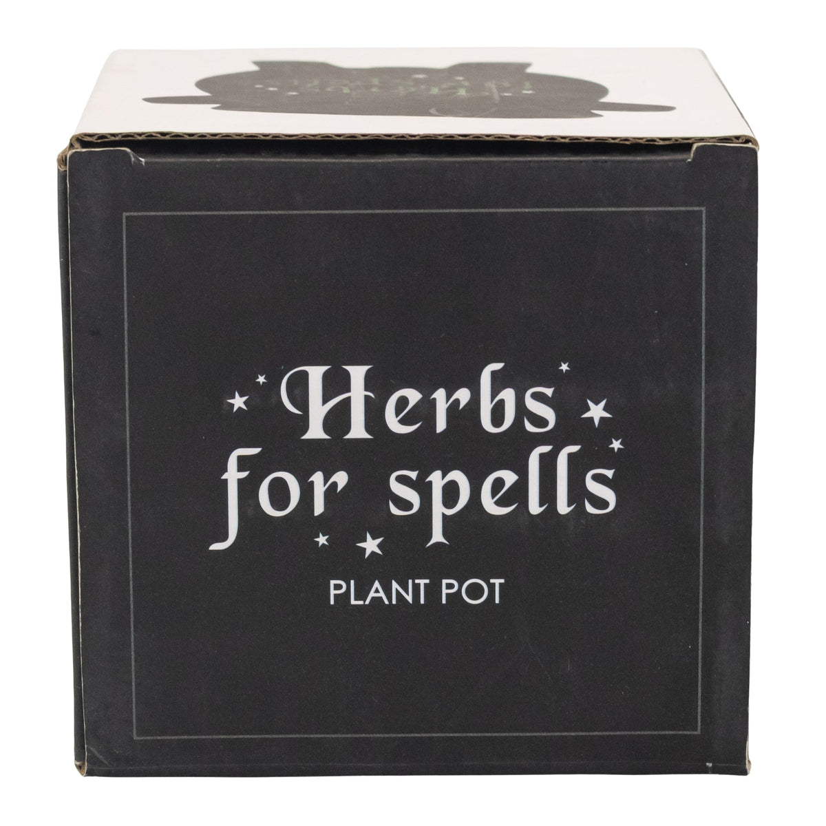 Herbs for Spells Cauldron Planter