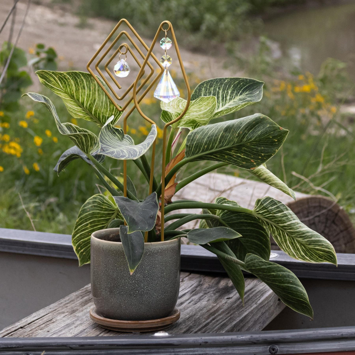 Gold Plant Trellis with Crystal