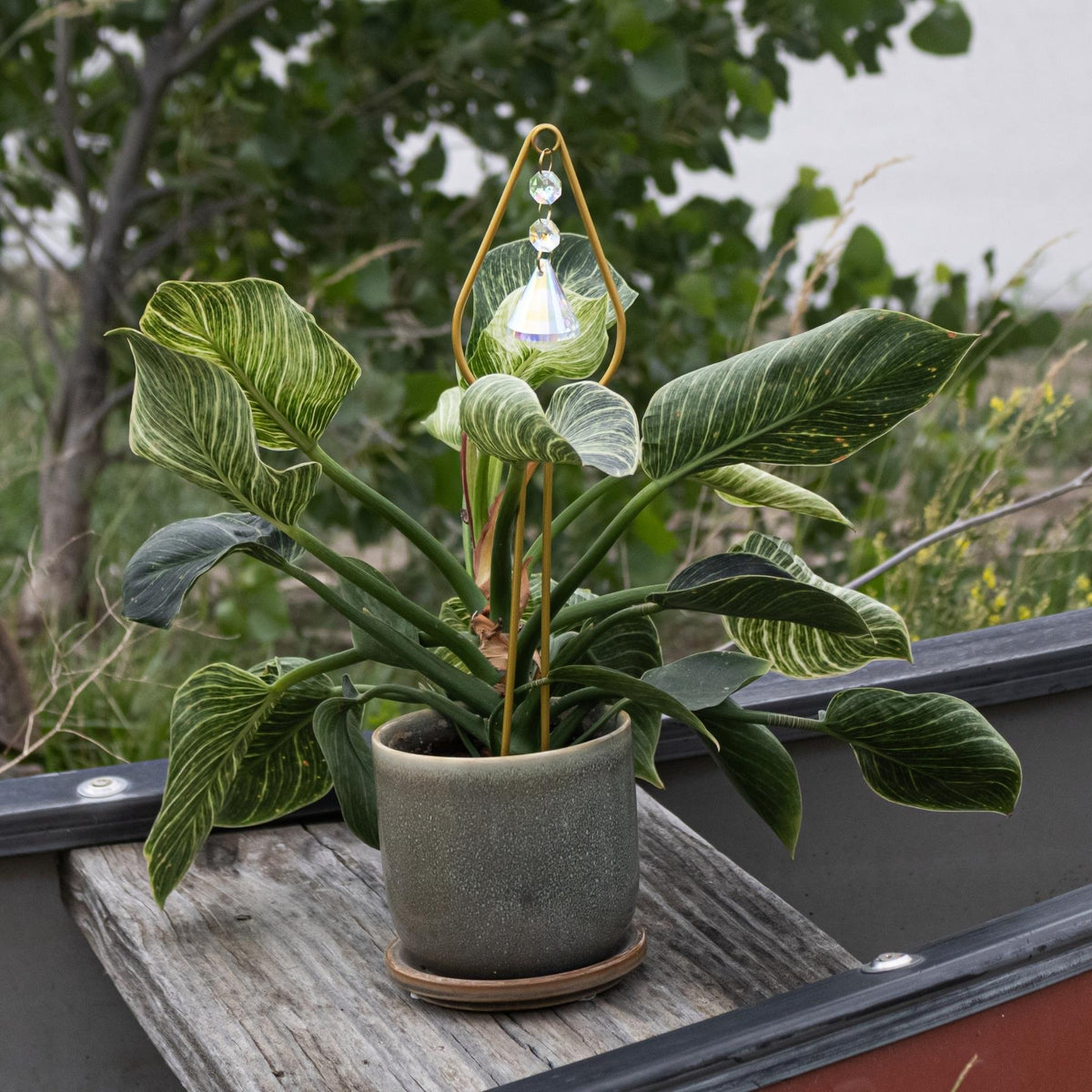Gold Plant Trellis with Crystal