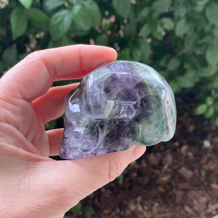 Fluorite Skull - Executive Gypsy