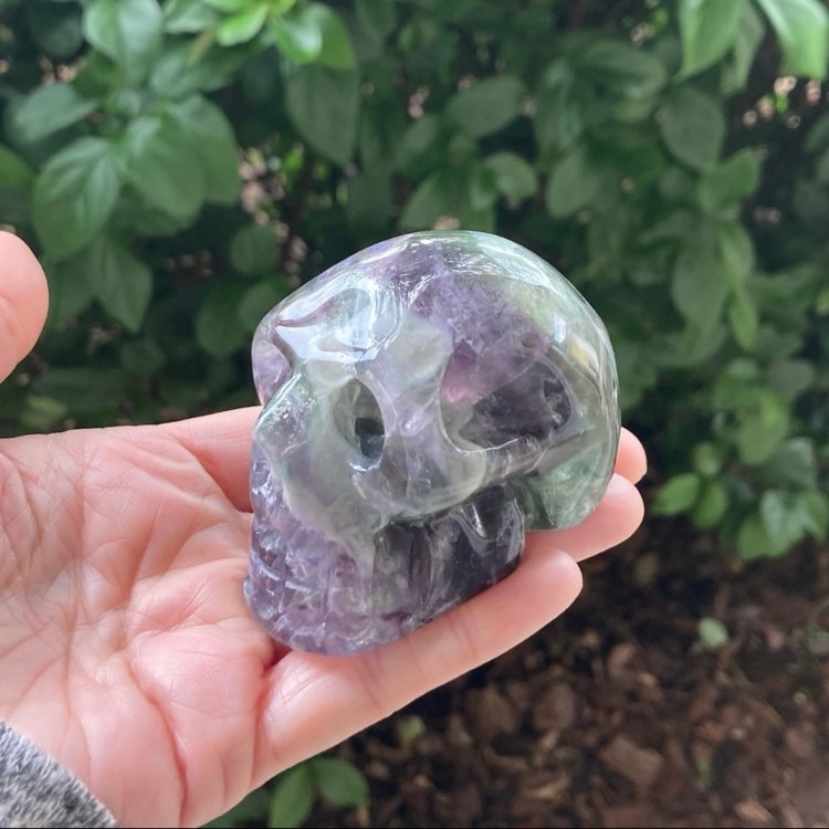 Fluorite Skull - Executive Gypsy