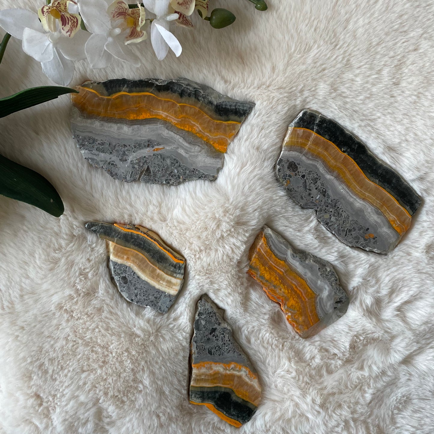 Natural Bumblebee Jasper Slab - Executive Gypsy