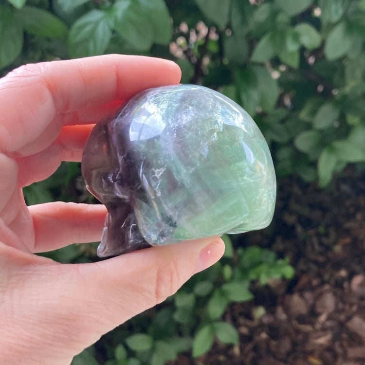 Fluorite Skull - Executive Gypsy